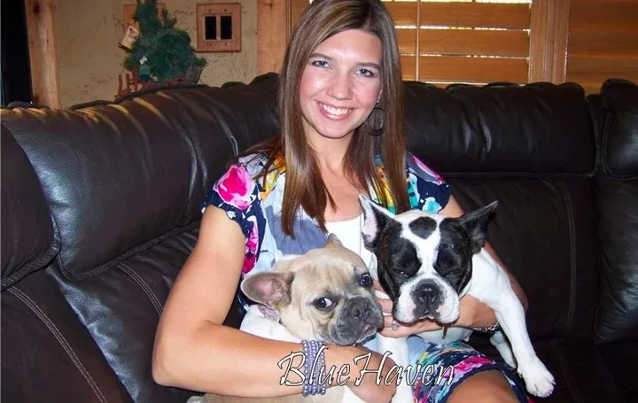 Why a French Bulldog?