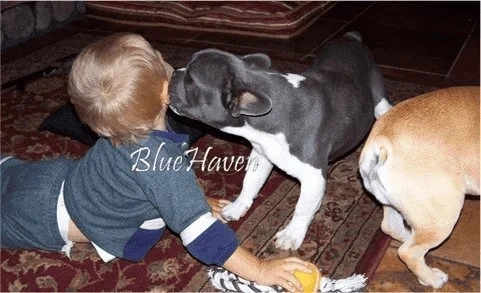 Scammers Information