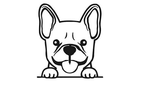 When to Neuter a French Bulldog (The Best Age & Benefits)