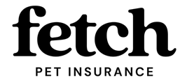 Fetch Logo