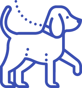 xyz