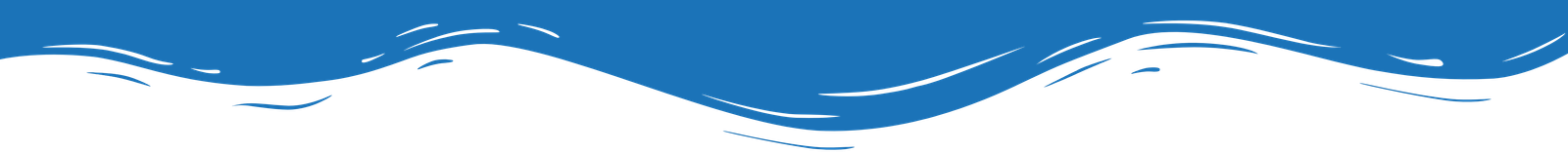 Section bottom border