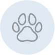 Bulldog Footprint