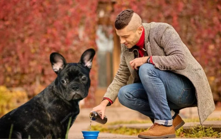 5-puppy-training-