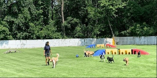 difficult to train