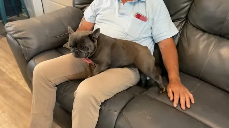 Simone