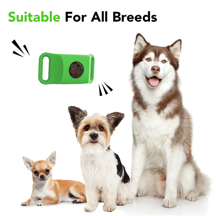 Cedarwood and Lemongrass Oils