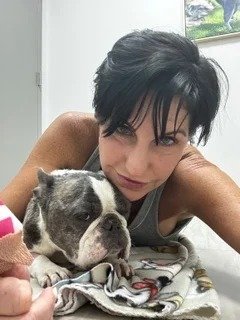 allergy sufferers french bulldog hypoallergenic