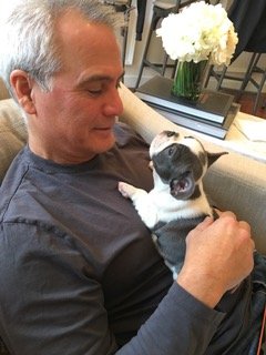 A Gentle Moment With a Bulldog